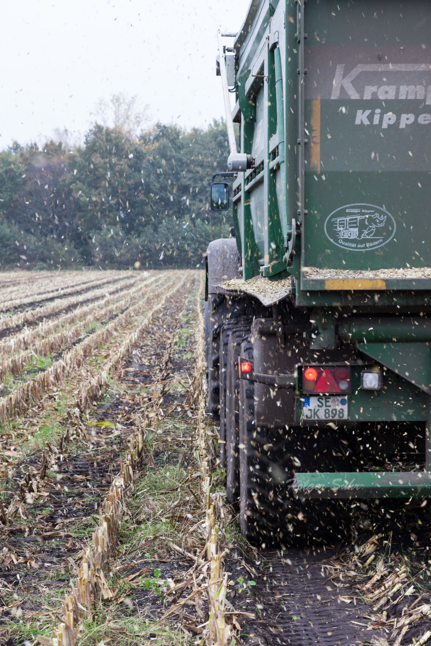 Bild 63 - Maisernte am 22.10.12